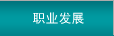 职业发展