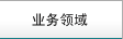 业务领域
