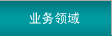 业务领域